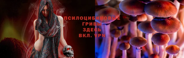 метамфетамин Липки
