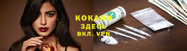дмт Лиски