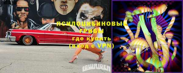 дмт Лиски