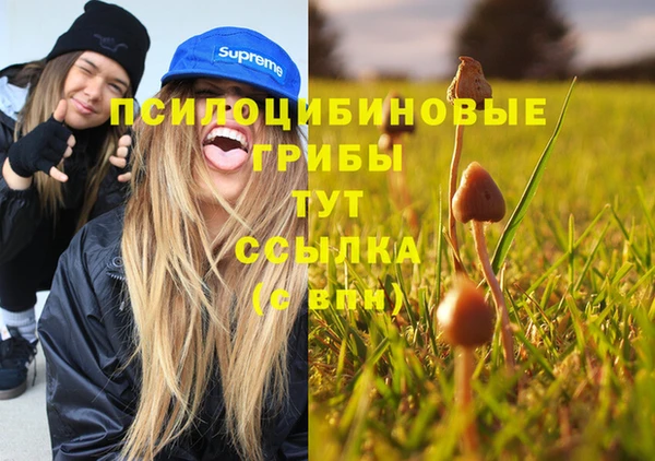 дмт Лиски