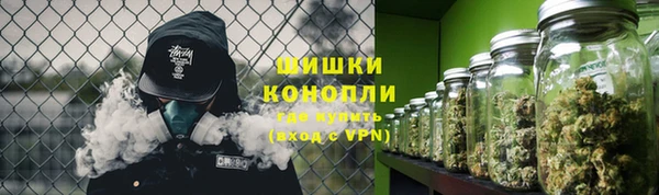 дмт Лиски